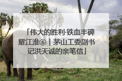 伟大的胜利·铁血丰碑耀江淮⑥｜茅山工委副书记洪天诚的亲笔信