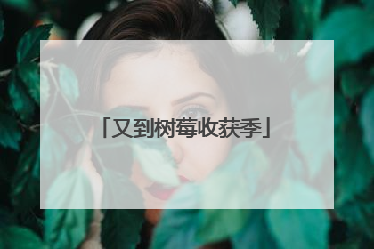 又到树莓收获季