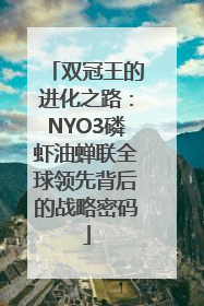 双冠王的进化之路：NYO3磷虾油蝉联全球领先背后的战略密码