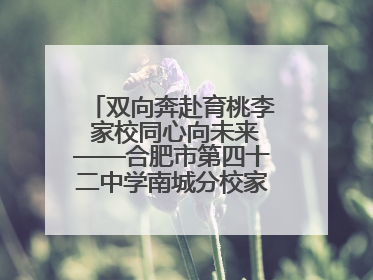 双向奔赴育桃李 家校同心向未来——合肥市第四十二中学南城分校家长学校期末总结会圆满召开