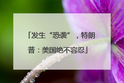 发生“恐袭”，特朗普：美国绝不容忍