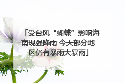 受台风“蝴蝶”影响海南现强降雨 今天部分地区仍有暴雨大暴雨