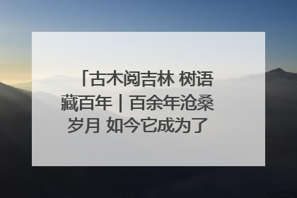 古木阅吉林 树语藏百年｜百余年沧桑岁月 如今它成为了“镇园之宝”