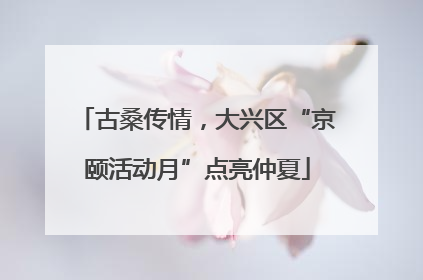 古桑传情，大兴区“京颐活动月”点亮仲夏