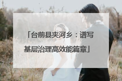 台前县夹河乡：谱写基层治理高效能篇章