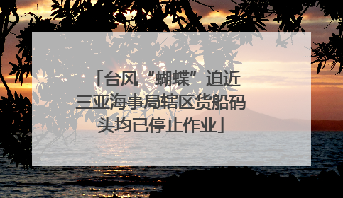 台风“蝴蝶”迫近 三亚海事局辖区货船码头均已停止作业