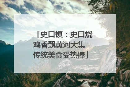 史口镇：史口烧鸡香飘黄河大集 传统美食受热捧