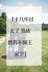 十几年过去了 我依然看不懂王家卫