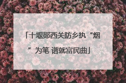 十堰郧西关防乡执“烟”为笔 谱就富民曲