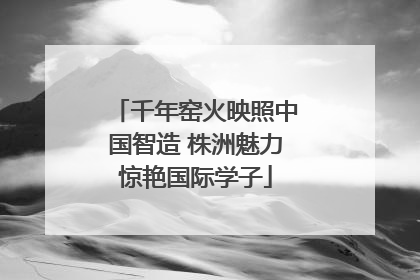 千年窑火映照中国智造 株洲魅力惊艳国际学子