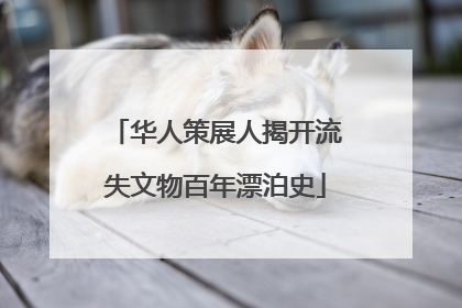 华人策展人揭开流失文物百年漂泊史