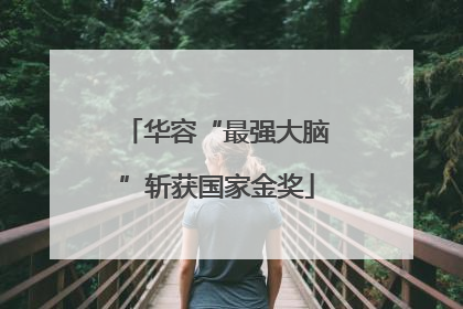 华容“最强大脑”斩获国家金奖