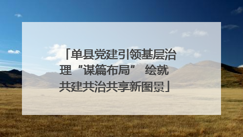 单县党建引领基层治理“谋篇布局” 绘就共建共治共享新图景