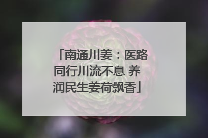 南通川姜：医路同行川流不息 养润民生姜荷飘香