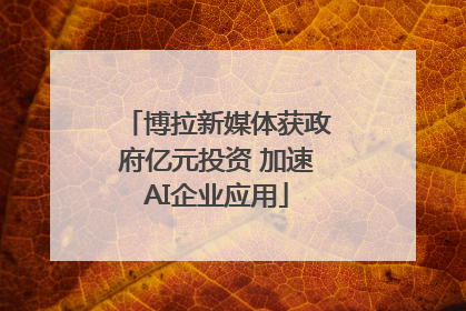 博拉新媒体获政府亿元投资 加速AI企业应用