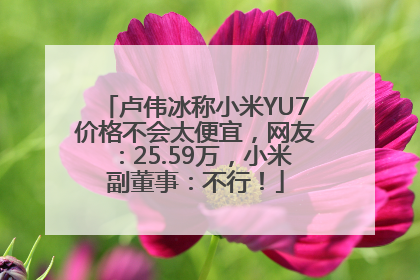 卢伟冰称小米YU7价格不会太便宜，网友：25.59万，小米副董事：不行！