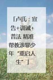 卢氏：宣告+训诫+普法 精准帮教涉罪少年“重启人生”