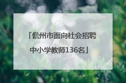 儋州市面向社会招聘中小学教师136名