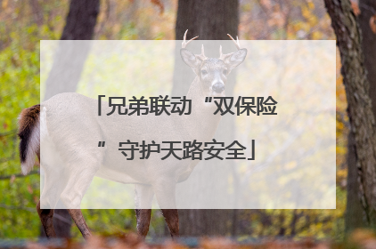 兄弟联动“双保险”守护天路安全