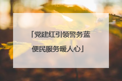 党建红引领警务蓝 便民服务暖人心