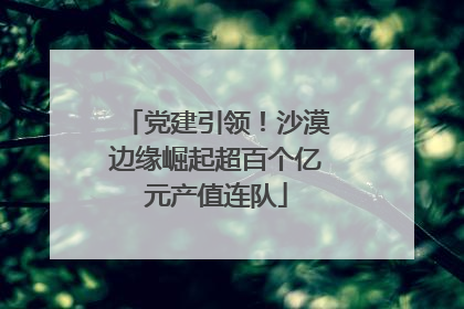 党建引领！沙漠边缘崛起超百个亿元产值连队