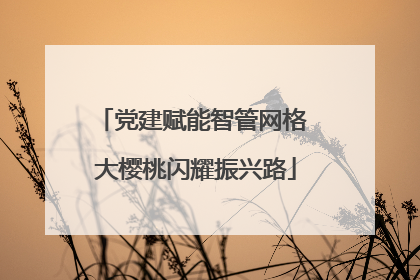 党建赋能智管网格 大樱桃闪耀振兴路