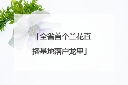 全省首个兰花直播基地落户龙里