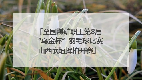 全国煤矿职工第8届“乌金杯”羽毛球比赛山西襄垣挥拍开赛