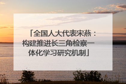 全国人大代表宋燕：构建推进长三角检察一体化学习研究机制