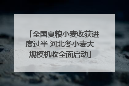 全国夏粮小麦收获进度过半 河北冬小麦大规模机收全面启动