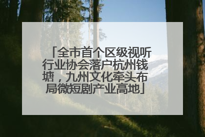 全市首个区级视听行业协会落户杭州钱塘，九州文化牵头布局微短剧产业高地
