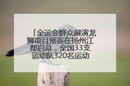 全运会群众展演龙狮项目预赛在扬州江都启幕，全国33支运动队320名运动员“龙争狮斗”