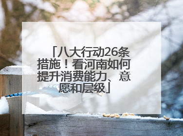 八大行动26条措施！看河南如何提升消费能力、意愿和层级