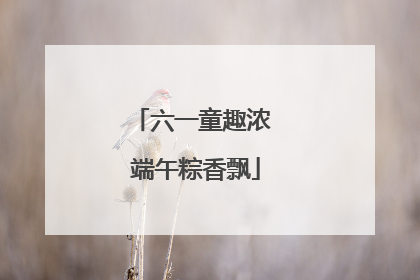 六一童趣浓 端午粽香飘