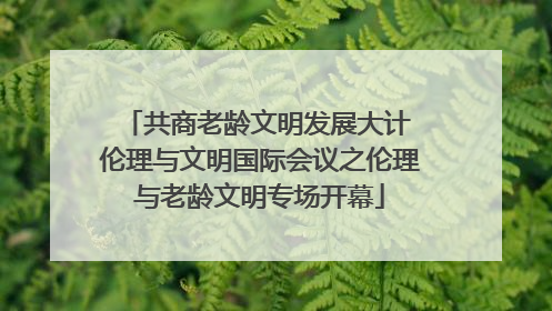 共商老龄文明发展大计 伦理与文明国际会议之伦理与老龄文明专场开幕