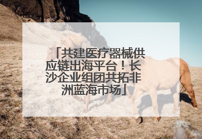 共建医疗器械供应链出海平台！长沙企业组团共拓非洲蓝海市场