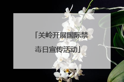 关岭开展国际禁毒日宣传活动