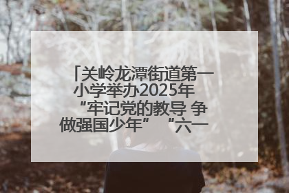关岭龙潭街道第一小学举办2025年“牢记党的教导 争做强国少年”“六一”文艺汇演活动