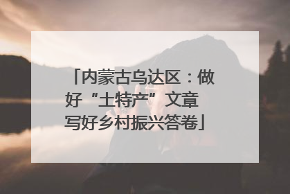 内蒙古乌达区：做好“土特产”文章 写好乡村振兴答卷