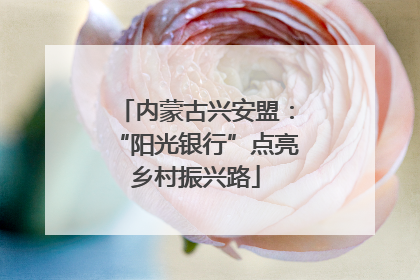 内蒙古兴安盟：“阳光银行”点亮乡村振兴路