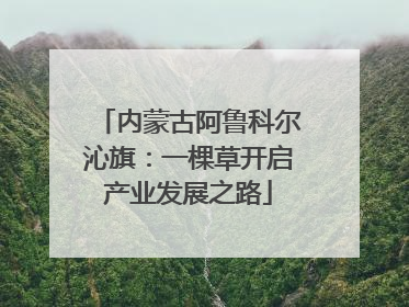 内蒙古阿鲁科尔沁旗：一棵草开启产业发展之路