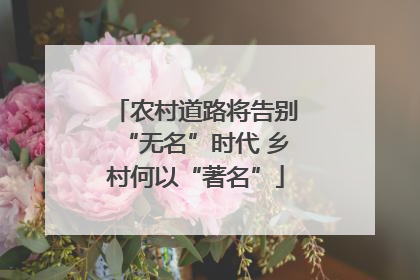 农村道路将告别“无名”时代 乡村何以“著名”