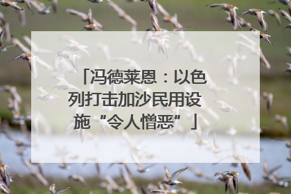 冯德莱恩：以色列打击加沙民用设施“令人憎恶”