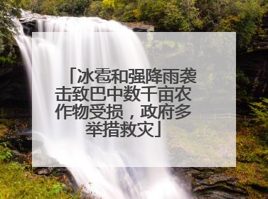冰雹和强降雨袭击致巴中数千亩农作物受损，政府多举措救灾