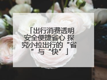 出行消费透明 安全便捷省心 探究小拉出行的“省”与“快”