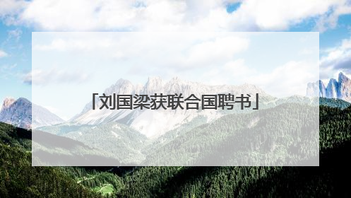 刘国梁获联合国聘书