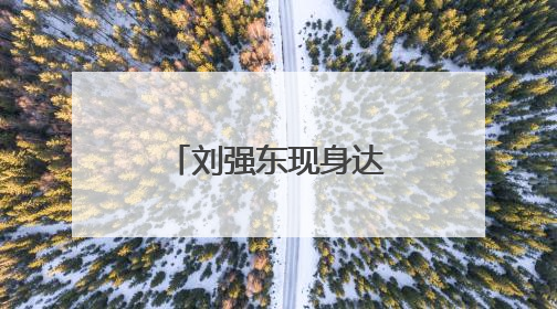 刘强东现身达沃斯，今年多次参加官方活动