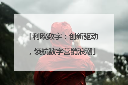 利欧数字：创新驱动，领航数字营销浪潮