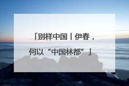 别样中国丨伊春，何以“中国林都”