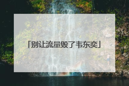 别让流量毁了韦东奕